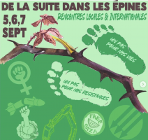 Rencontre La suite dans les épines n.2