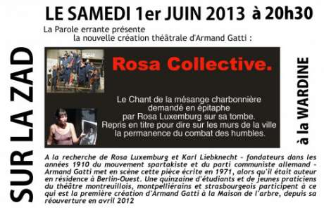 2rosa_collectivespectacle22012751b5.jpg